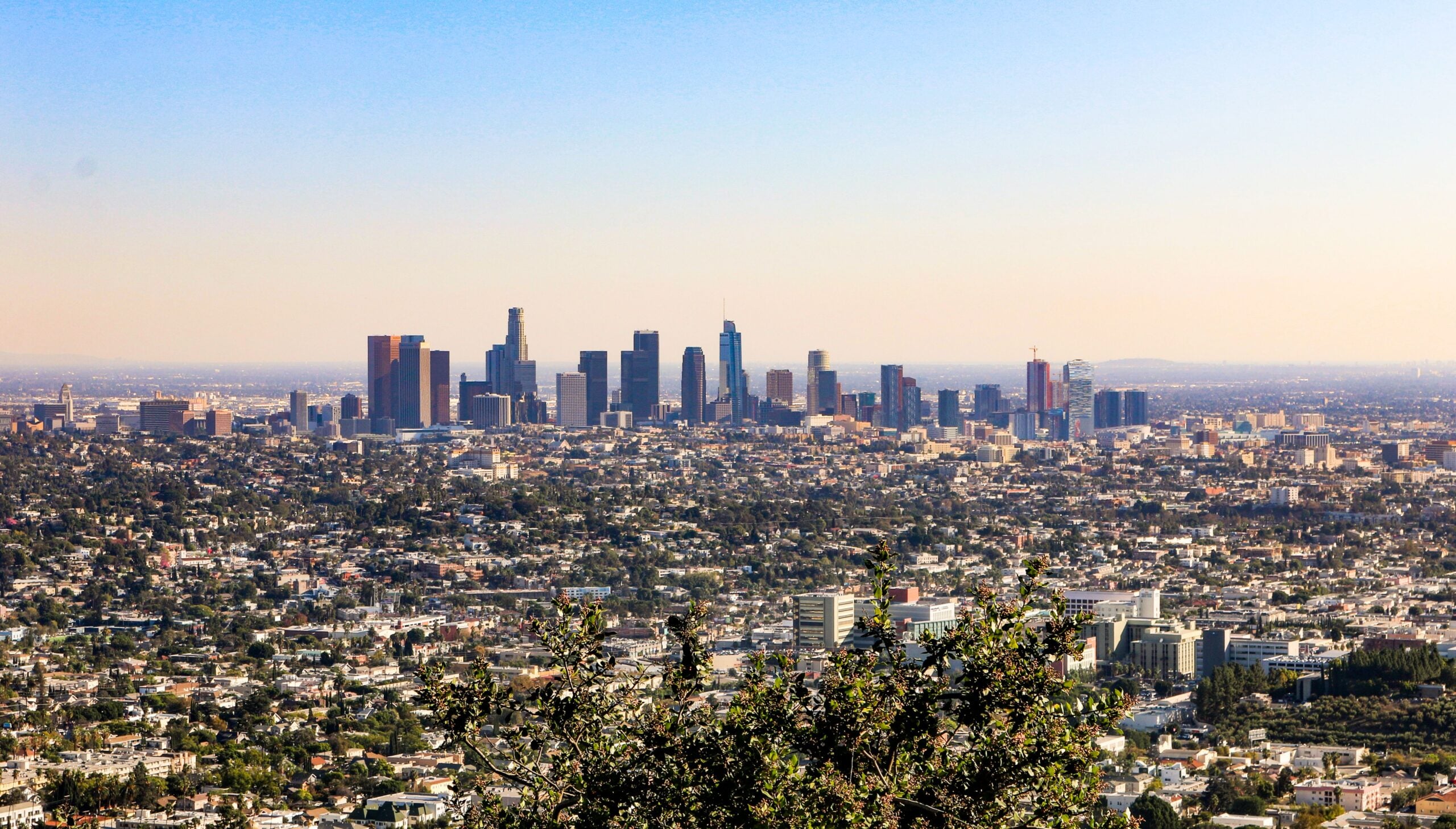 Aerial view of the Los Angeles skyline and surrounding neighborhoods